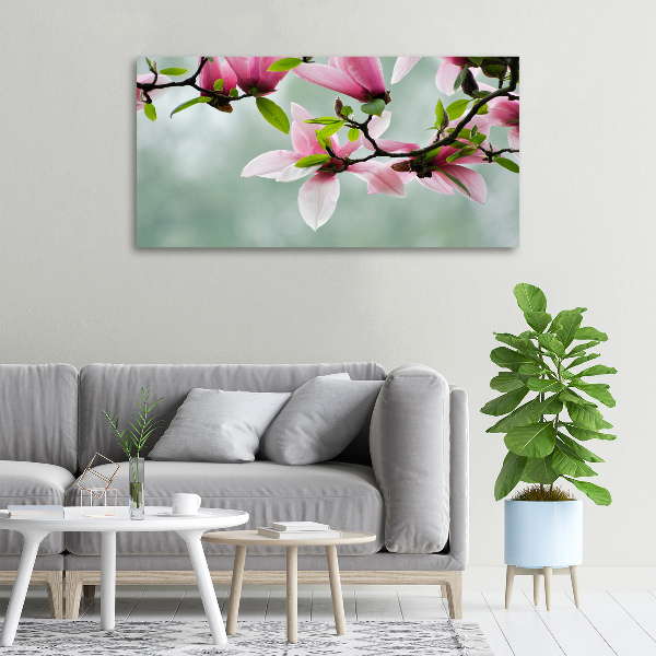 Foto canvas Magnolia