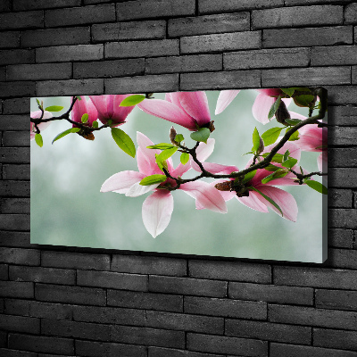 Foto canvas Magnolia