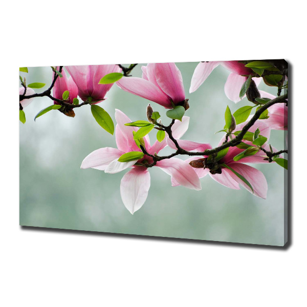 Foto canvas Magnolia