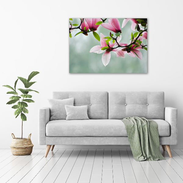 Foto canvas Magnolia