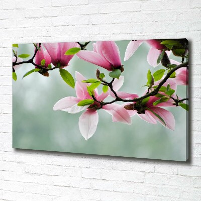 Foto canvas Magnolia