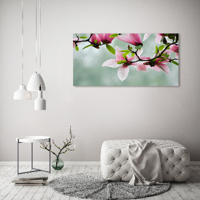 Foto canvas Magnolia