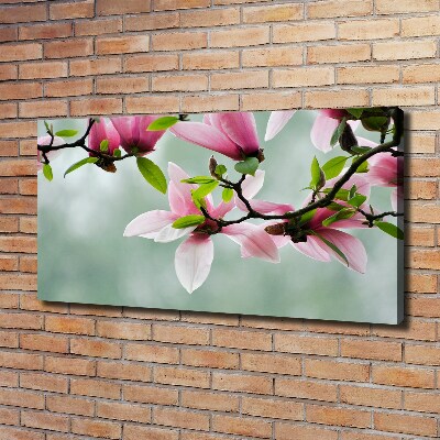 Foto canvas Magnolia
