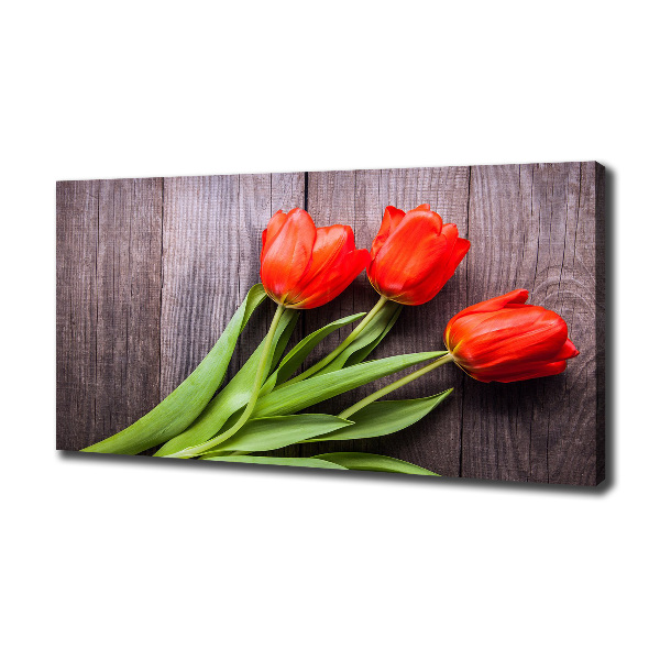Foto op canvas Rode tulpen