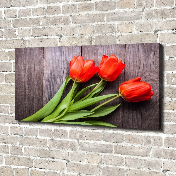 Foto op canvas Rode tulpen