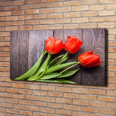 Foto op canvas Rode tulpen