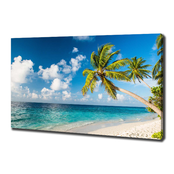 Foto canvas strand van de Malediven