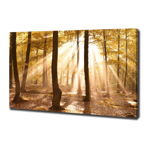 Canvas foto Bos in de herfst