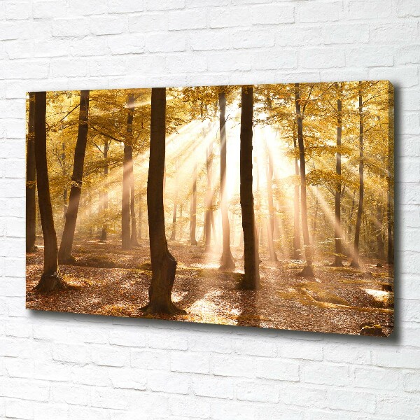 Canvas foto Bos in de herfst
