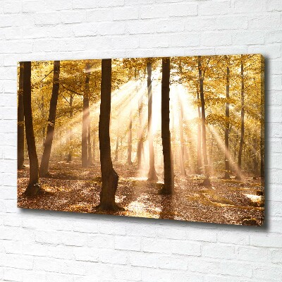 Canvas foto Bos in de herfst