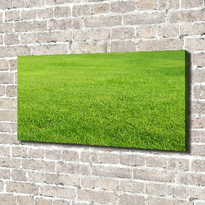 Canvas schilderij Groen gras