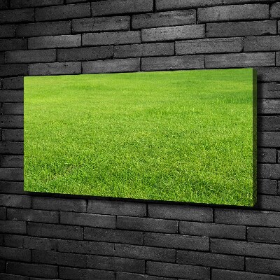 Canvas schilderij Groen gras