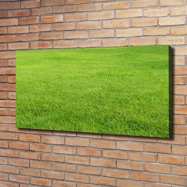 Canvas schilderij Groen gras
