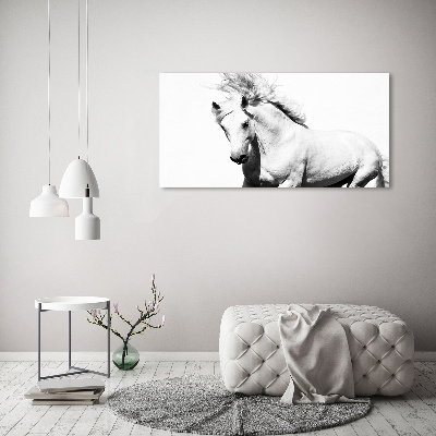 Canvas foto Wit paard