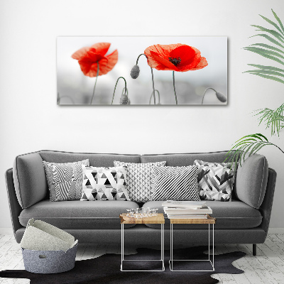 Foto canvas Klaprozen
