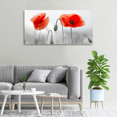 Foto canvas Klaprozen