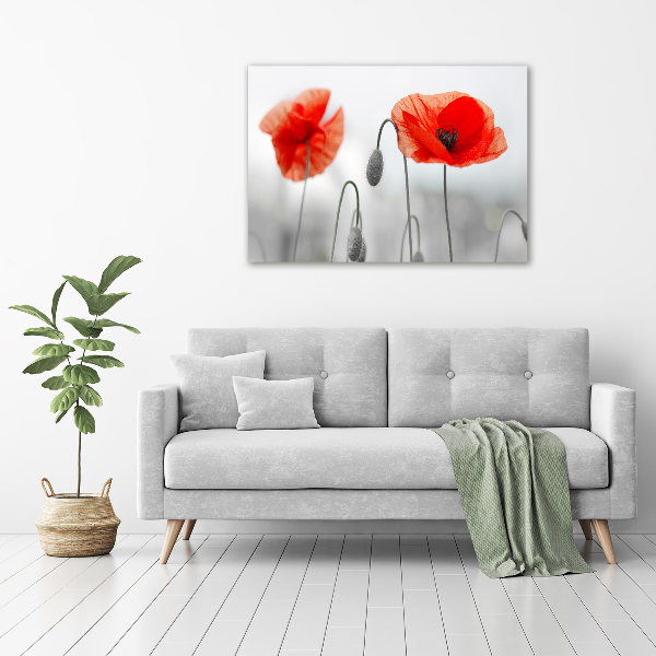 Foto canvas Klaprozen