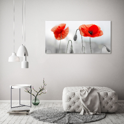 Foto canvas Klaprozen