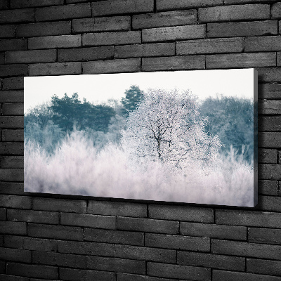 Schilderij op canvas Bomen in de winter