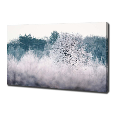 Schilderij op canvas Bomen in de winter