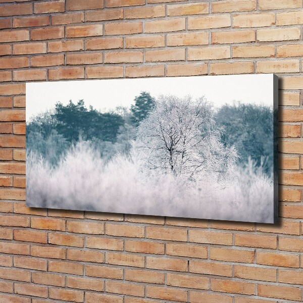 Schilderij op canvas Bomen in de winter