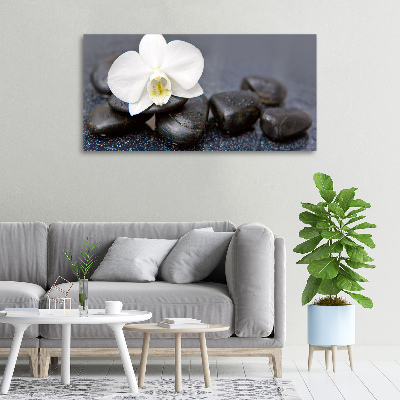 Foto op canvas Orchidee