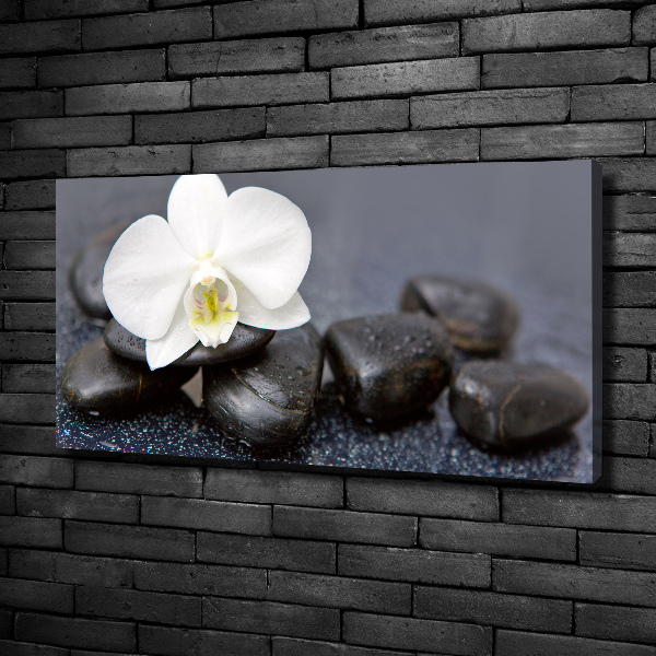 Foto op canvas Orchidee