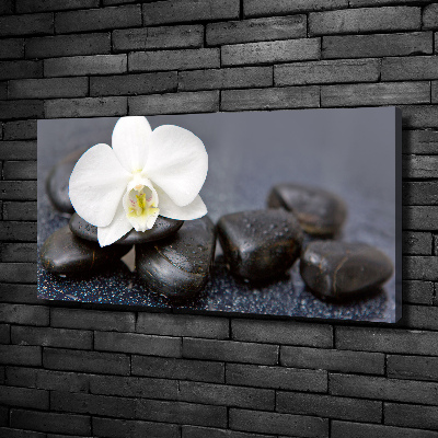 Foto op canvas Orchidee