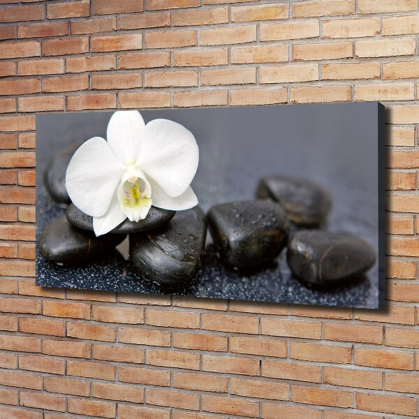 Foto op canvas Orchidee