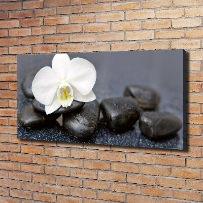 Foto op canvas Orchidee