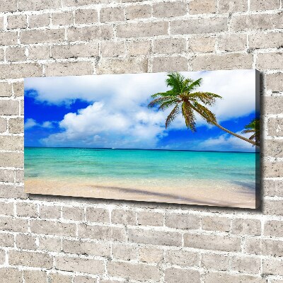 Foto canvas Caribisch strand