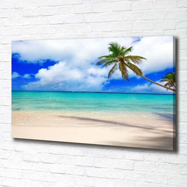 Foto canvas Caribisch strand