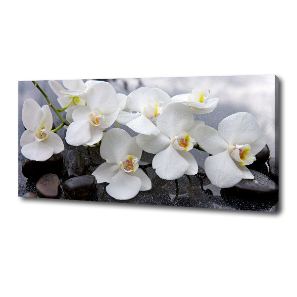 Canvas foto Orchidee