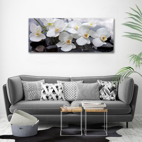 Canvas foto Orchidee