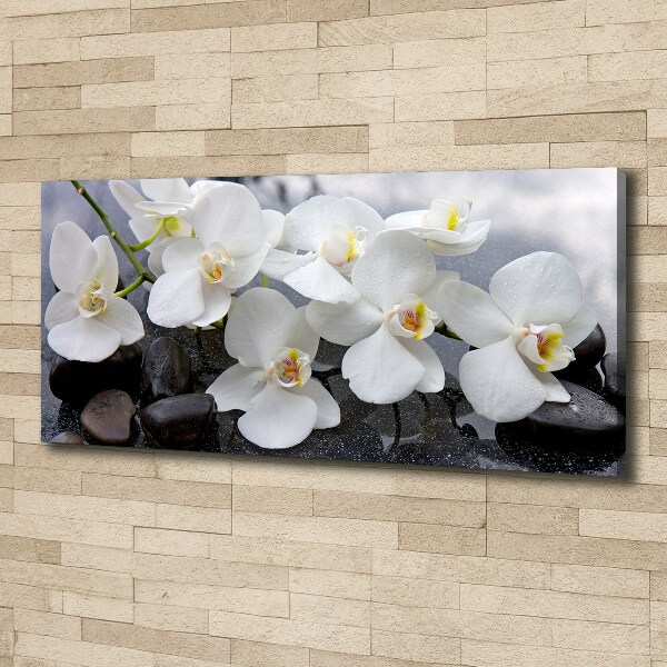 Canvas foto Orchidee