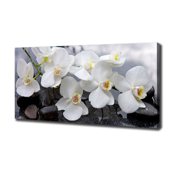 Canvas foto Orchidee