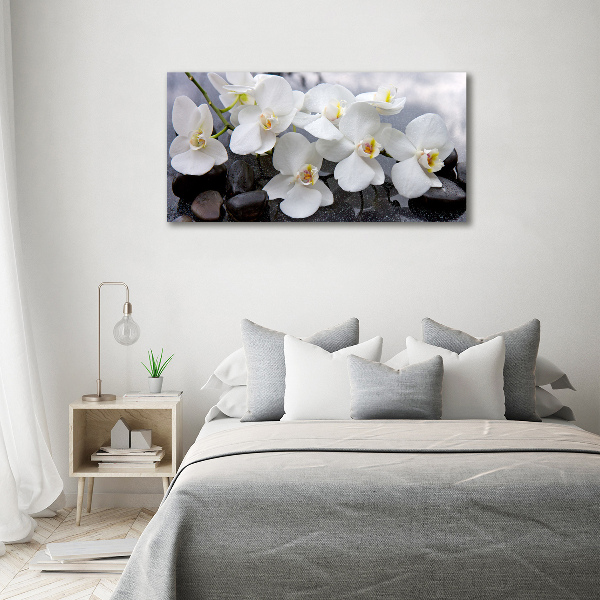 Canvas foto Orchidee