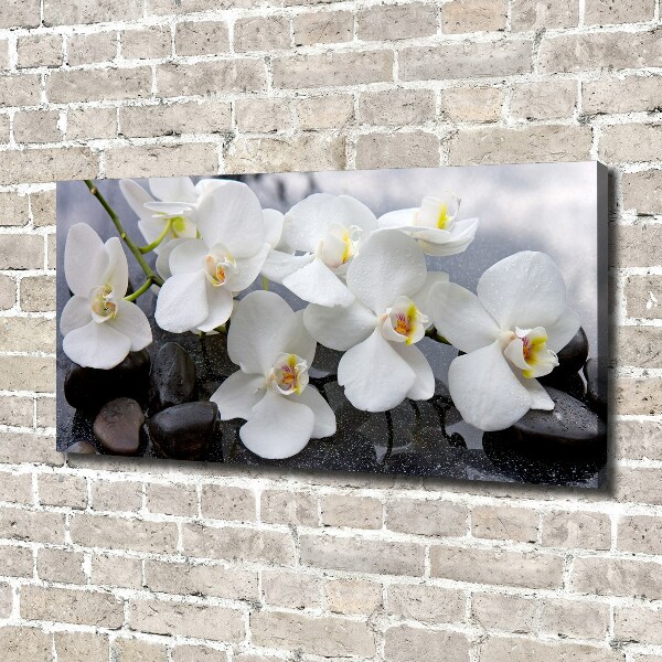 Canvas foto Orchidee