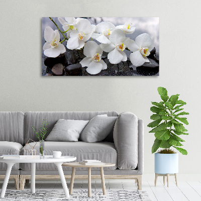 Canvas foto Orchidee