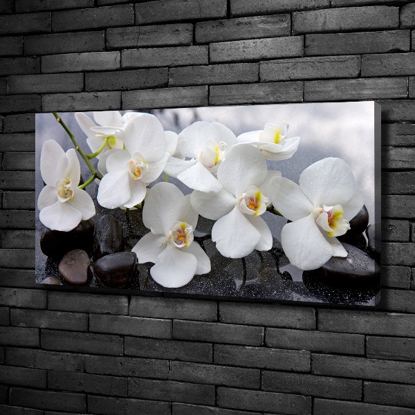Canvas foto Orchidee