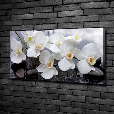 Canvas foto Orchidee