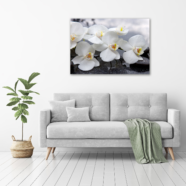 Canvas foto Orchidee