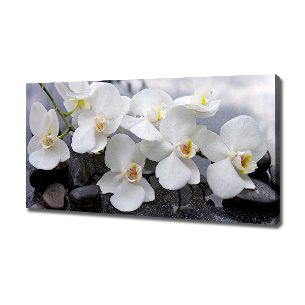 Canvas foto Orchidee