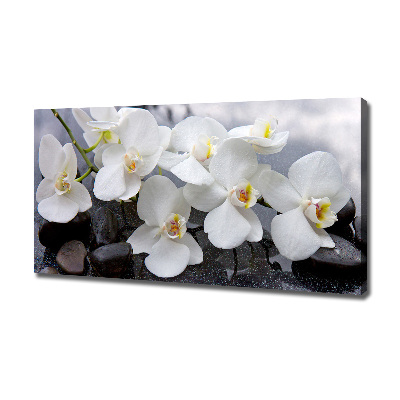 Canvas foto Orchidee