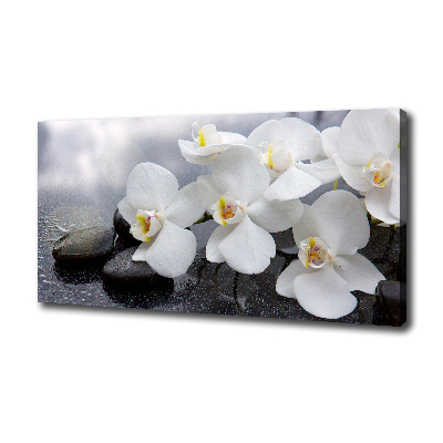 Schilderij op canvas Orchidee
