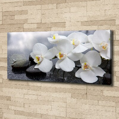 Schilderij op canvas Orchidee