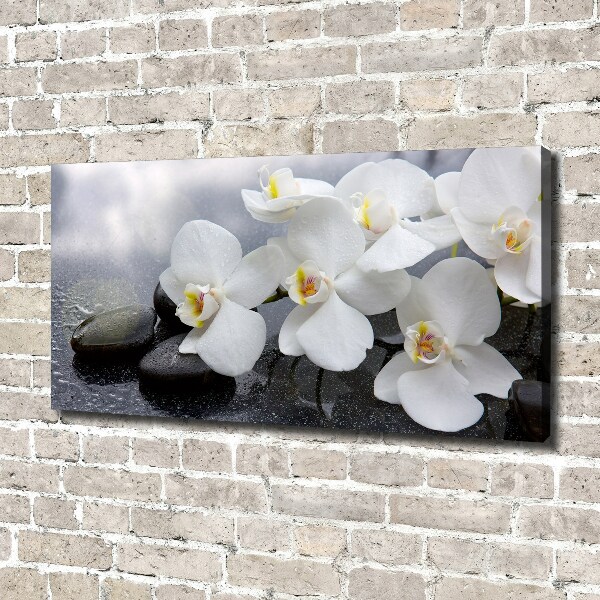 Schilderij op canvas Orchidee