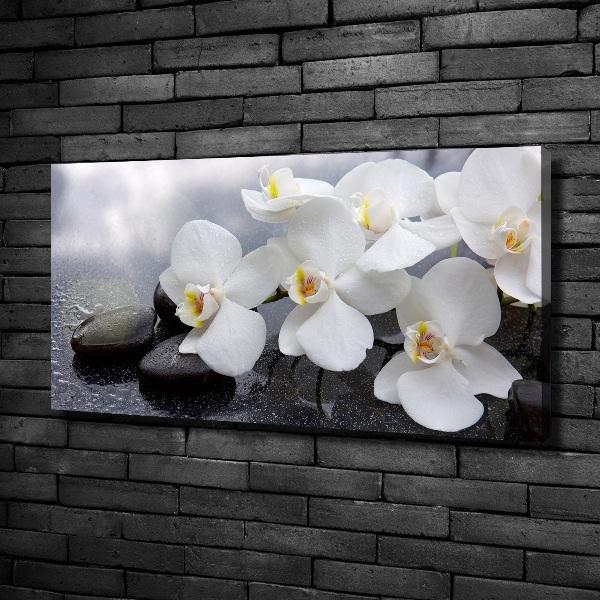 Schilderij op canvas Orchidee