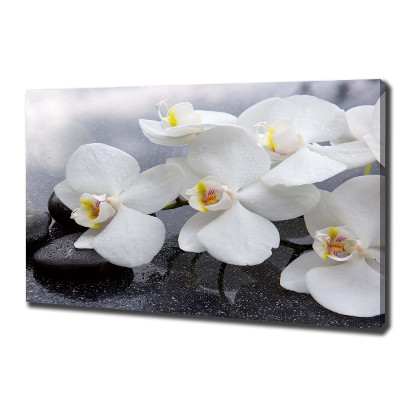 Schilderij op canvas Orchidee