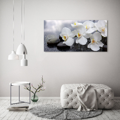 Schilderij op canvas Orchidee